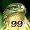 Benutzerbild von Habicht99_archive