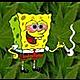 Benutzerbild von cannabinoid_archive
