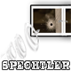 Benutzerbild von spechtler_archive